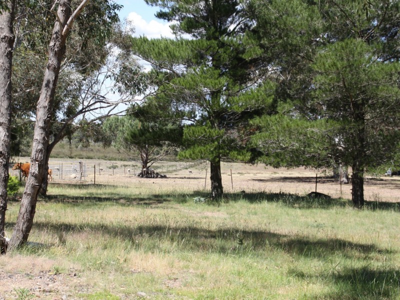 468 Williams Drive, Tarago NSW 2580