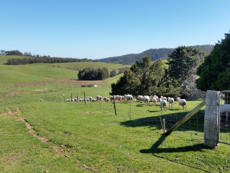 Valhaven/Off Millsvale Road, Crookwell NSW 2583