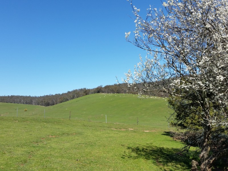 Valhaven/Off Millsvale Road, Crookwell NSW 2583