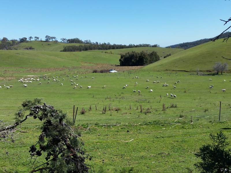 Valhaven/Off Millsvale Road, Crookwell NSW 2583