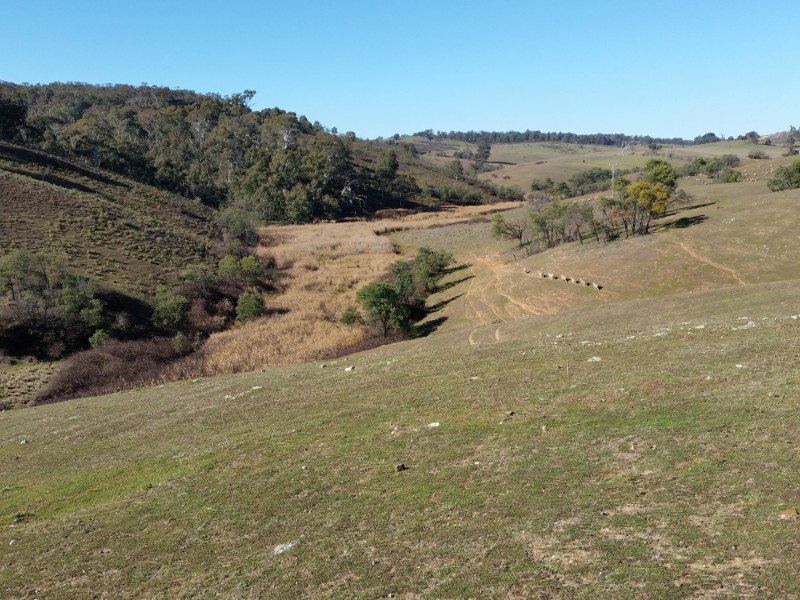 Valhaven/Off Millsvale Road, Crookwell NSW 2583