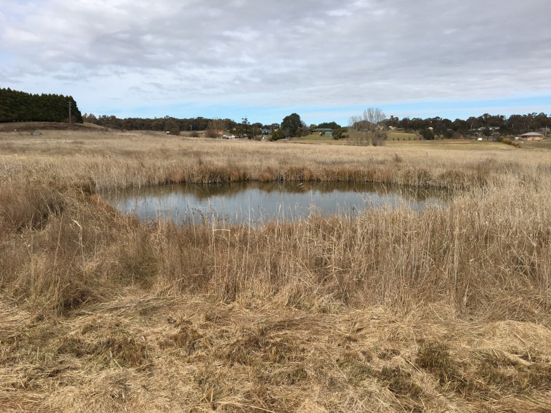 Lot 2 Grabben Gullen Road, Grabben Gullen NSW 2583