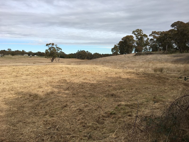 Lot 2 Grabben Gullen Road, Grabben Gullen NSW 2583