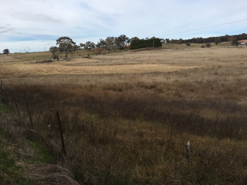 Lot 2 Grabben Gullen Road, Grabben Gullen NSW 2583