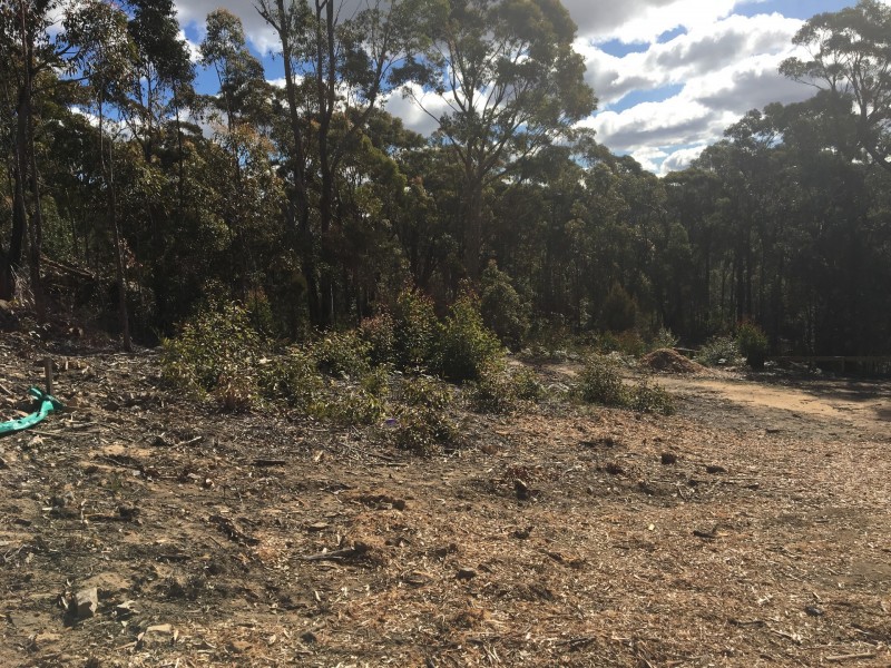 Lot 15 Carlton Street, Mittagong NSW 2575