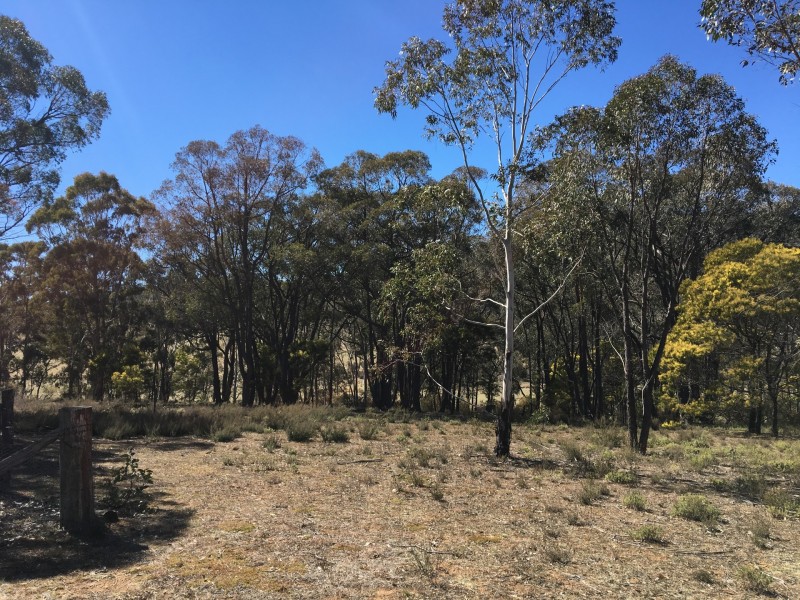 263 Todkill Road, Greenwich Park NSW 2580