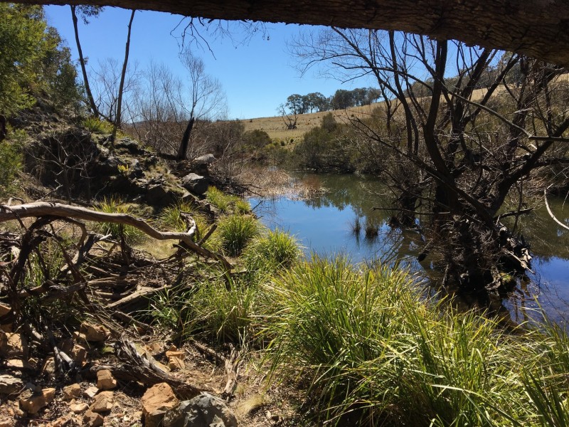 263 Todkill Road, Greenwich Park NSW 2580