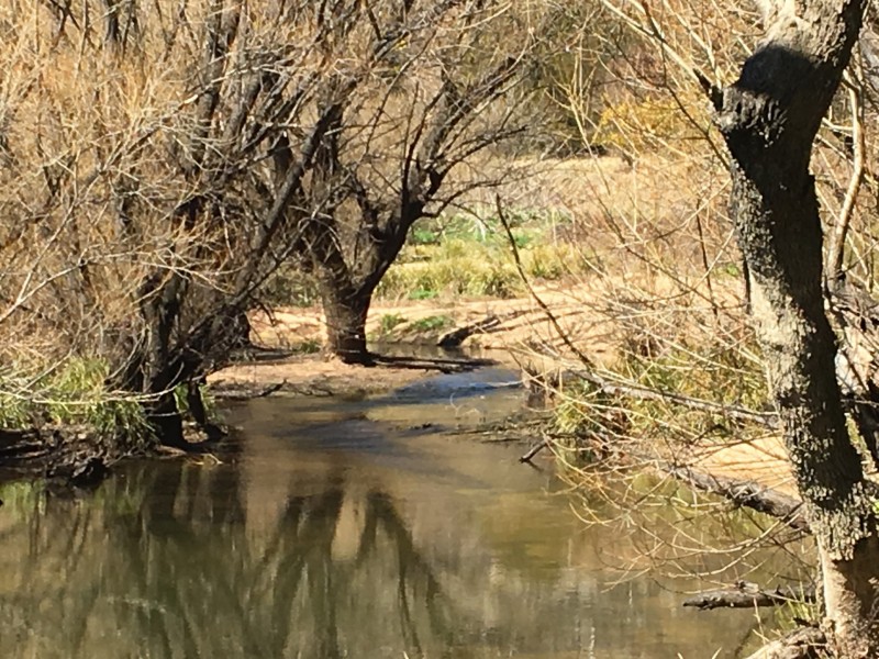 263 Todkill Road, Greenwich Park NSW 2580