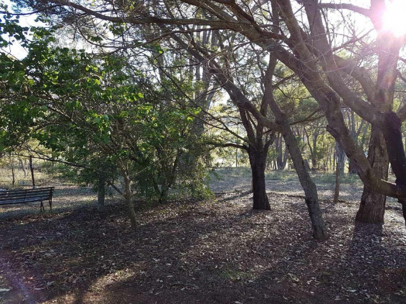 263 Todkill Road, Greenwich Park NSW 2580