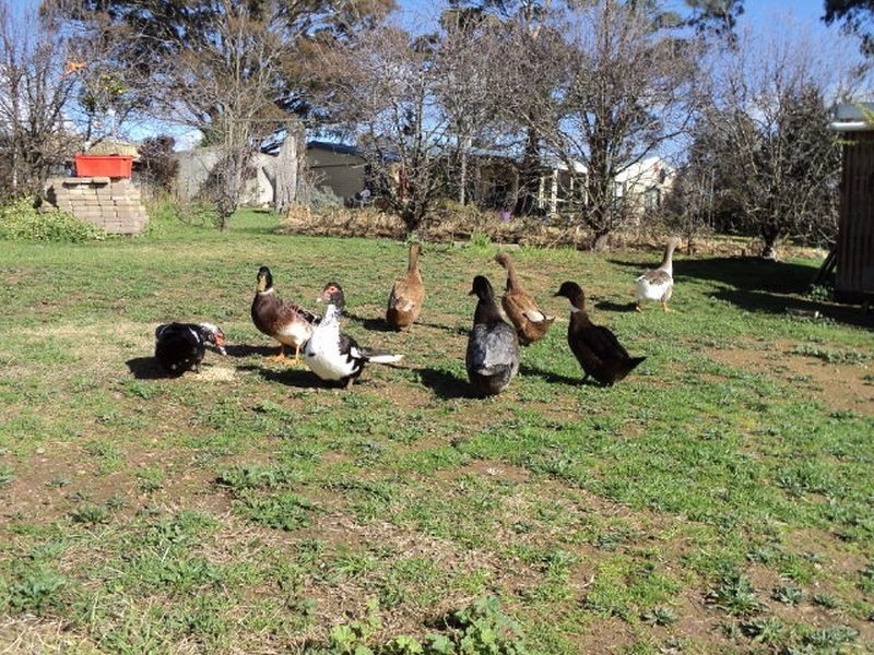 542 Middle Arm Road, Goulburn NSW 2580