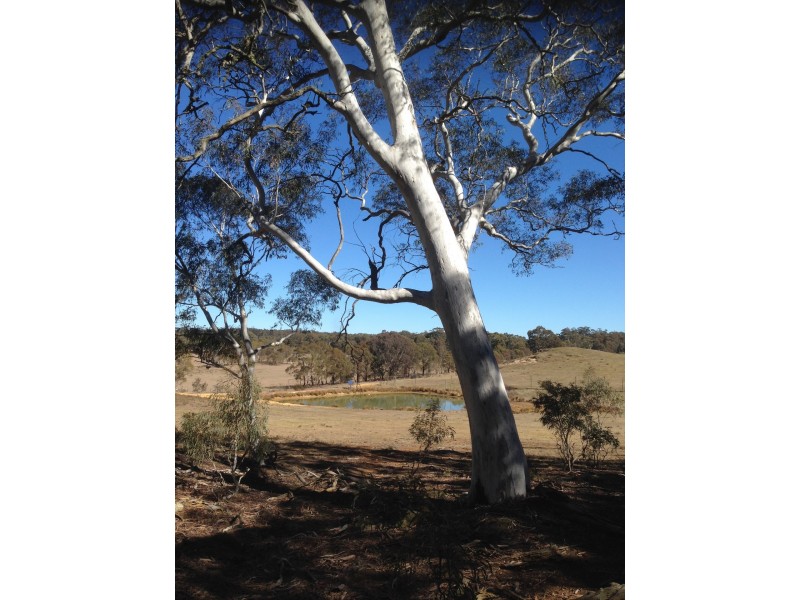 152 Minshull Road, Windellama NSW 2580