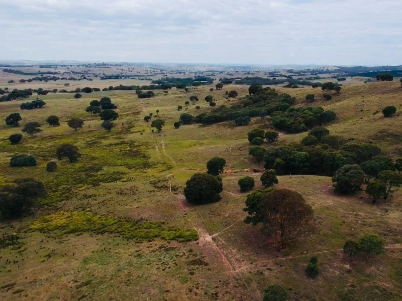 Lot 74 Rugby Road, Bevendale NSW 2581