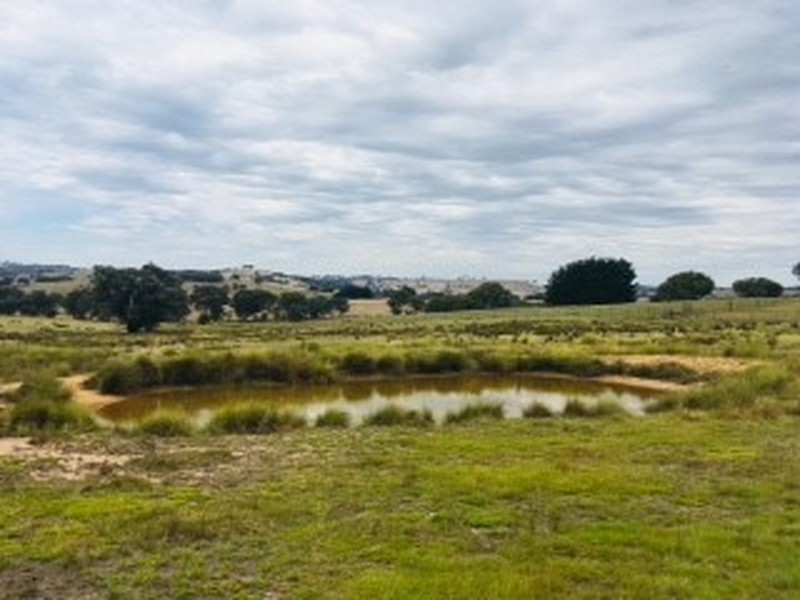 Lot 74 Rugby Road, Bevendale NSW 2581