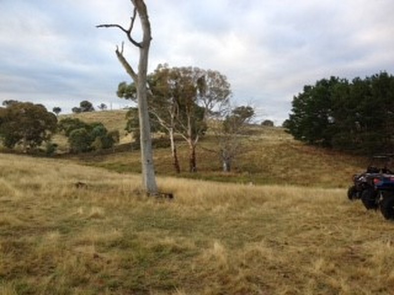 Lot 74 Rugby Road, Bevendale NSW 2581