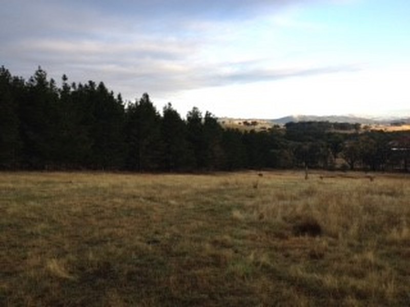 Lot 74 Rugby Road, Bevendale NSW 2581