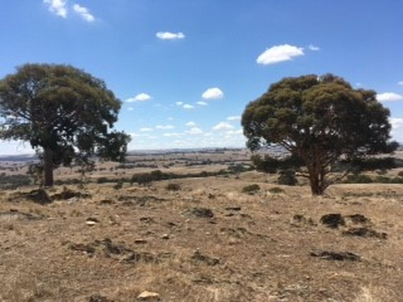 Lot 74 Rugby Road, Bevendale NSW 2581