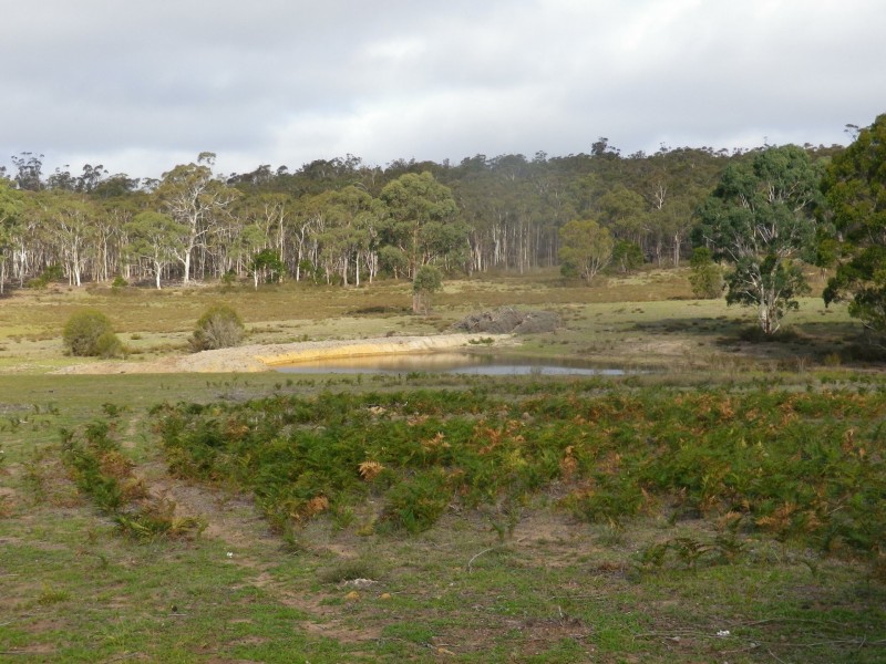 Lot 2 Oallen Ford Road, Windellama NSW 2580