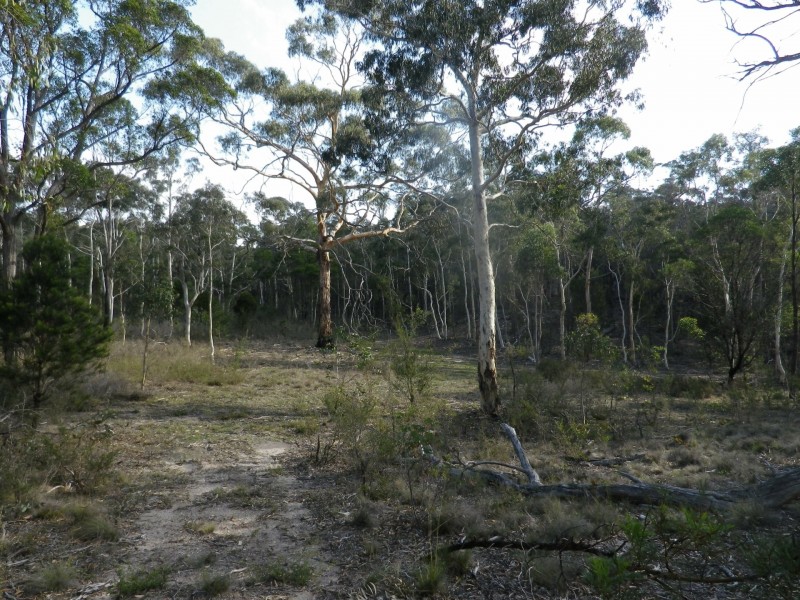 Lot 2 Oallen Ford Road, Windellama NSW 2580