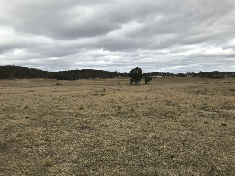 410 The Lookdown Road, Bungonia NSW 2580