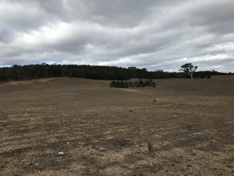 410 The Lookdown Road, Bungonia NSW 2580