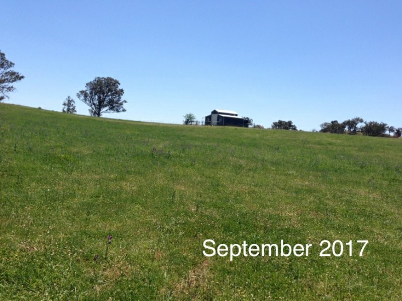 410 The Lookdown Road, Bungonia NSW 2580