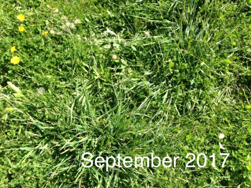 410 The Lookdown Road, Bungonia NSW 2580