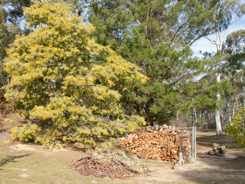 477 Mulwaree Drive, Tallong NSW 2579