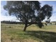 197 Cullerin Road, Breadalbane NSW 2581