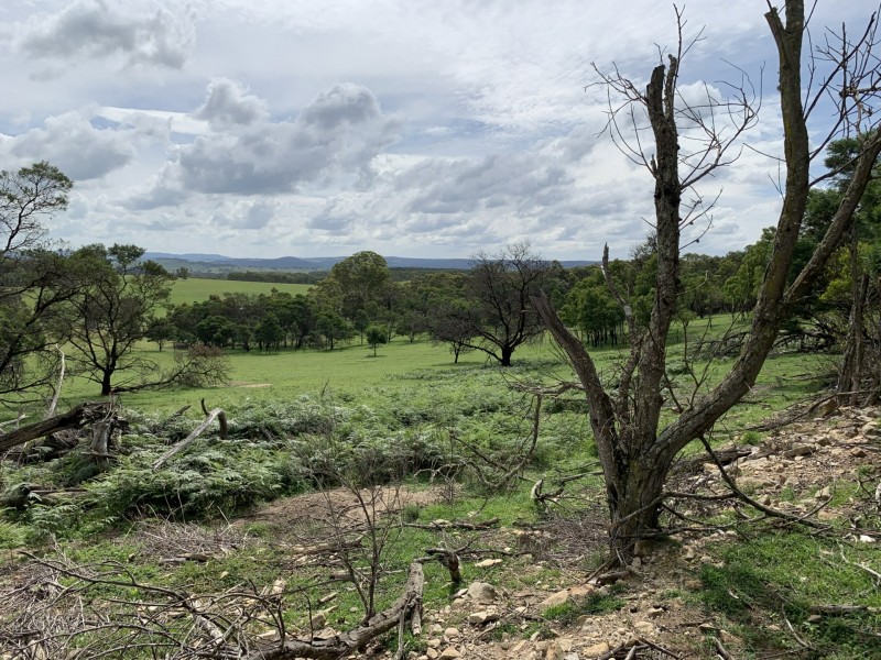 15178 Hume Highway, Marulan NSW 2579