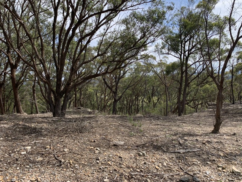 15178 Hume Highway, Marulan NSW 2579