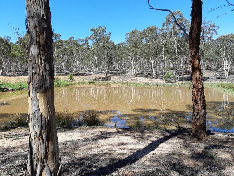 Lot 11 Timberlight Road, Windellama NSW 2580