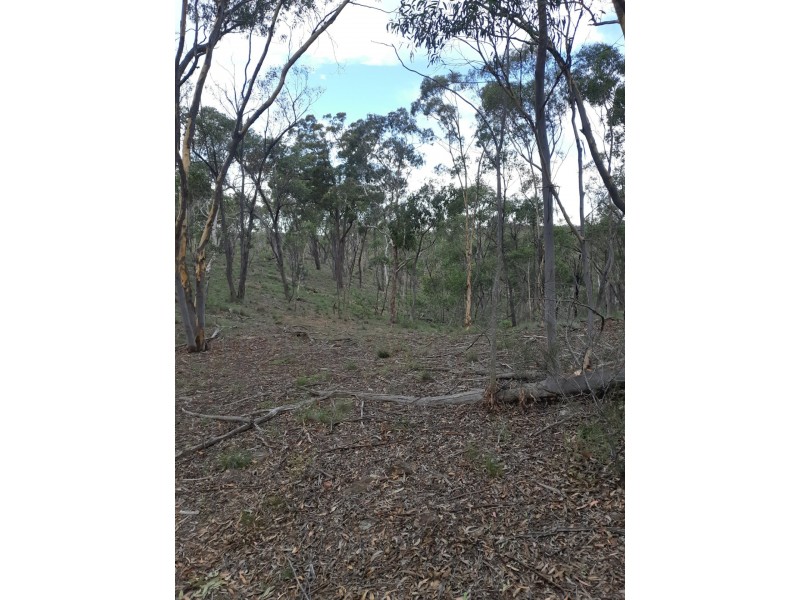 Lot 12 Timberlight Road, Windellama NSW 2580