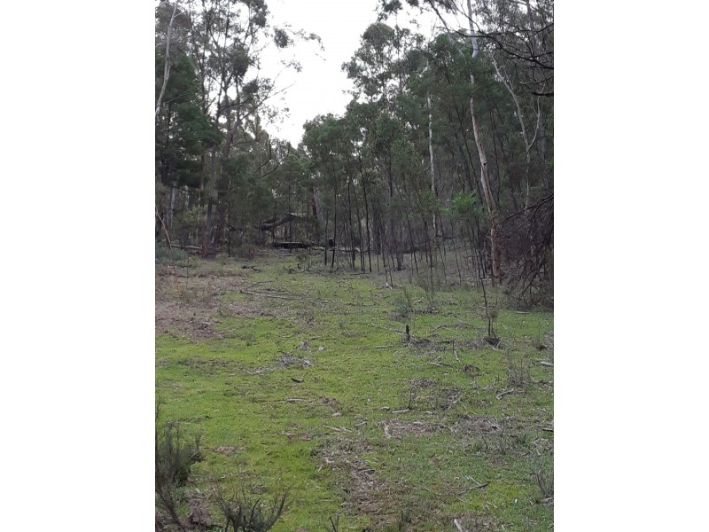 Lot 12 Timberlight Road, Windellama NSW 2580