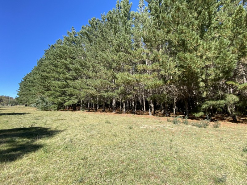 282 Old Station Creek Road, Taralga NSW 2580