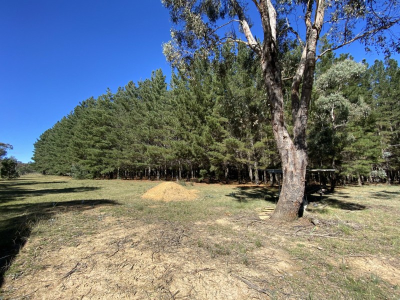282 Old Station Creek Road, Taralga NSW 2580