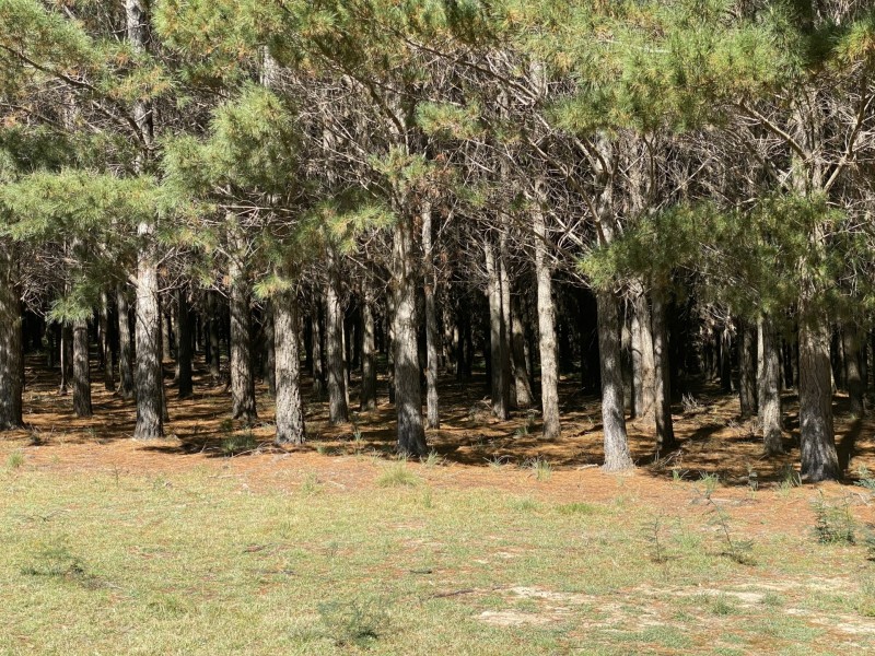 282 Old Station Creek Road, Taralga NSW 2580