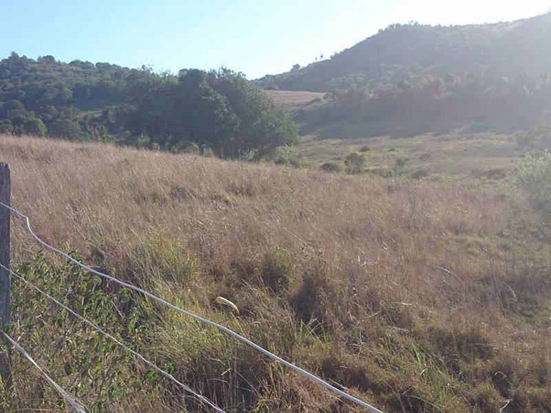 101 Litzows Road, Tarampa QLD 4311