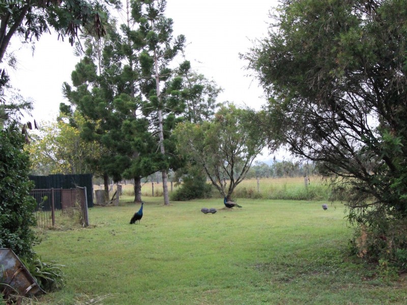 14 Silverleaves Road, Mount Beppo QLD 4313