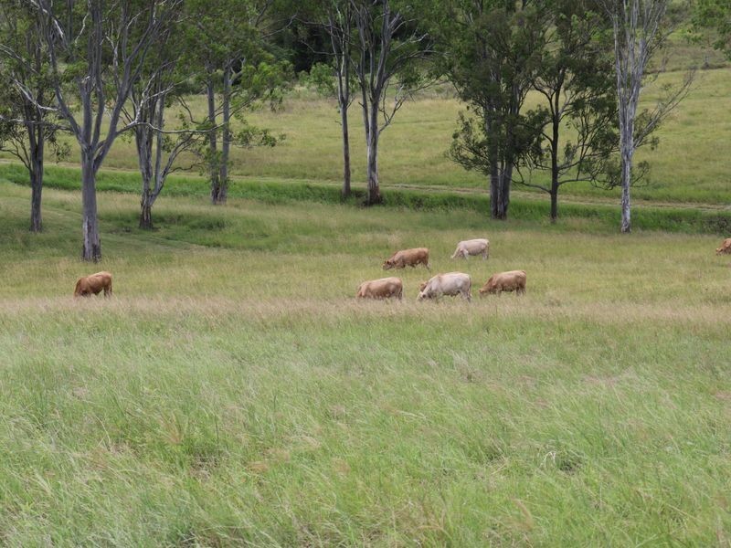 47 Gaults Lane, Kilcoy QLD 4515