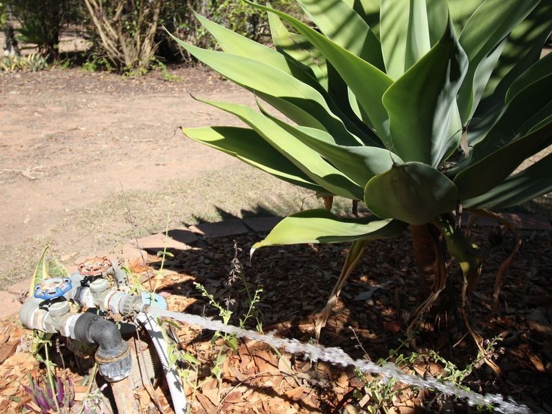 49 Laurel Street, Esk QLD 4312