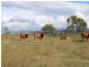 341 Bowman Road, Blackbutt QLD 4306