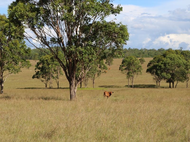 341 Bowman Road, Blackbutt QLD 4306
