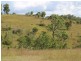 341 Bowman Road, Blackbutt QLD 4306