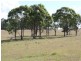 341 Bowman Road, Blackbutt QLD 4306