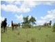 Biarra QLD 4313