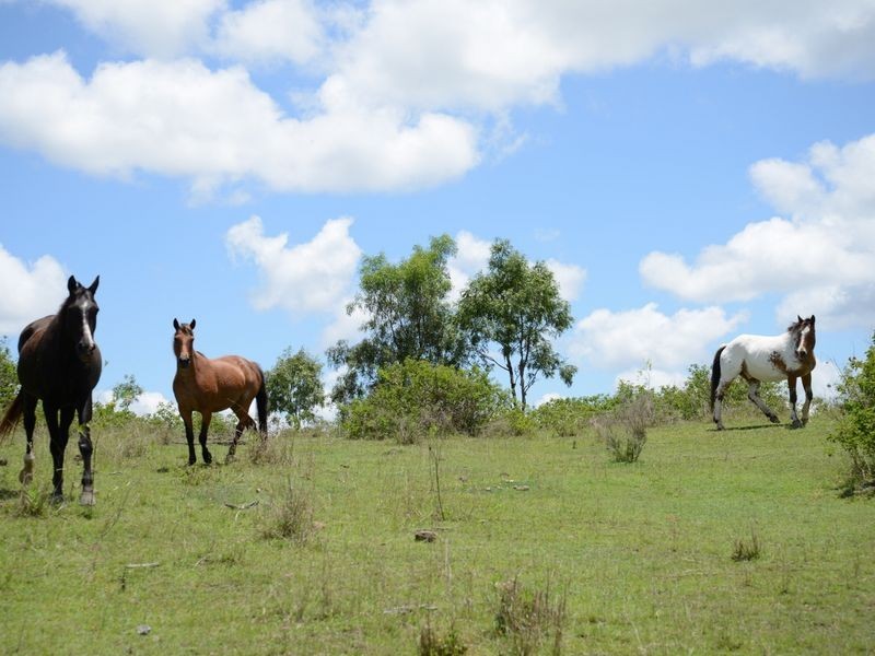 Biarra QLD 4313