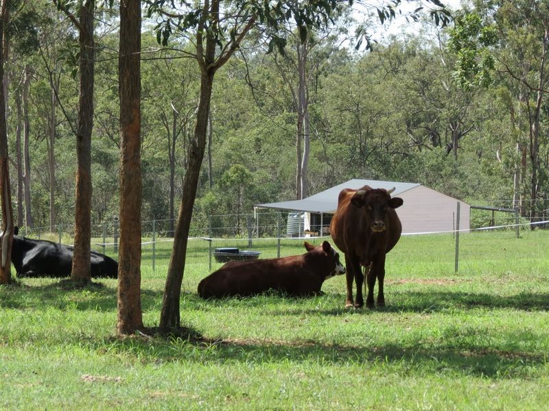 34 Countess Court, Mount Hallen QLD 4312