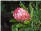 Esk QLD 4312