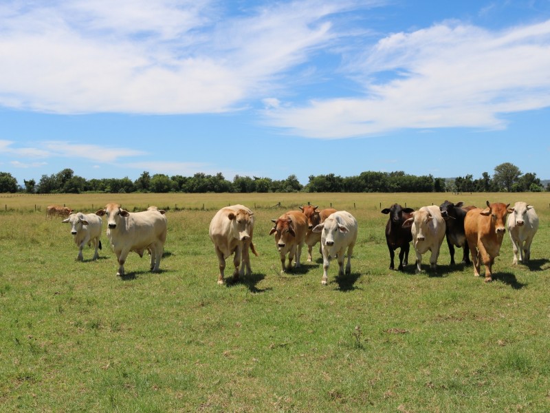 Toogoolawah QLD 4313