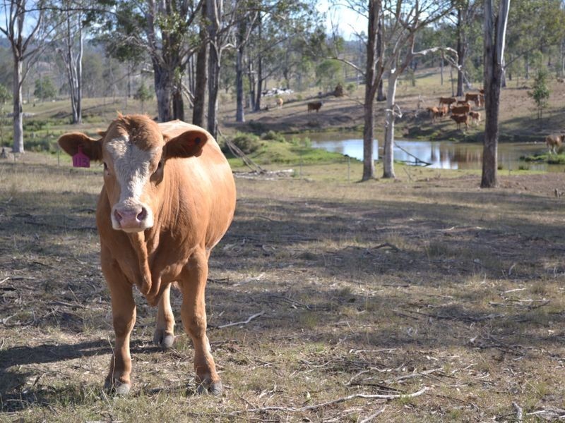633 Esk Crows Nest Road, Esk QLD 4312